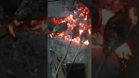 Bakar ikan saja guyss