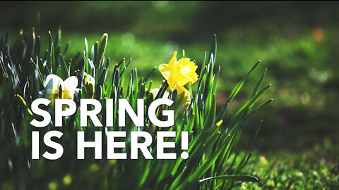 Spring is here! | A walk in Waterworks