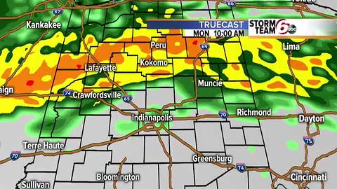 Mild and wet forecast