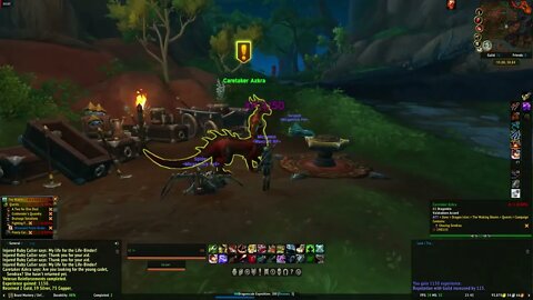 World of Warcraft Dragonflight Veteran Reinforcements
