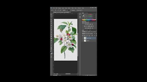 how to remove backround from flower in photoshop #shorts #photoshop