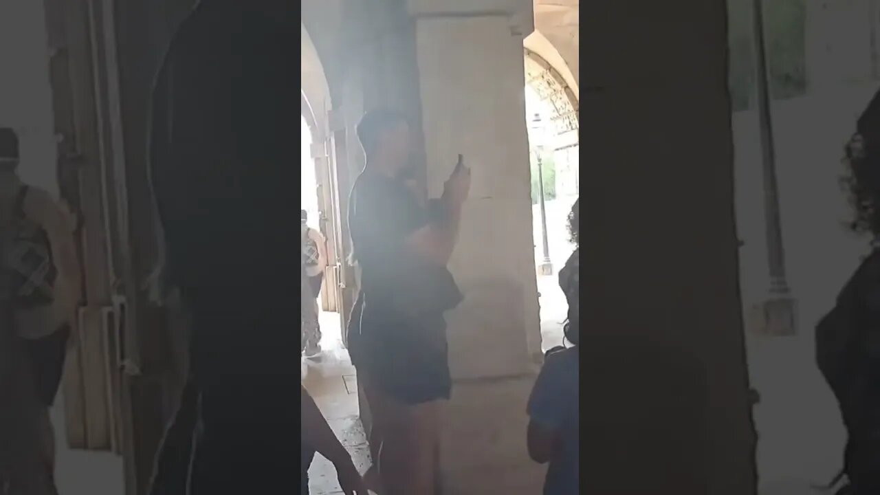 they tried to make the kings guard laugh #horseguardsparade