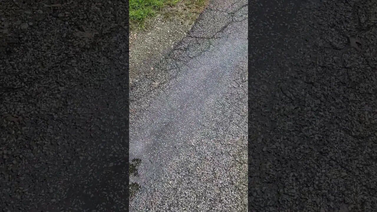 sus puddle #shorts
