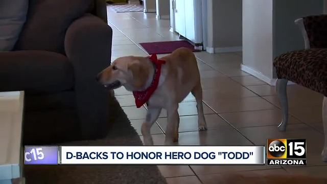 Top stories: Arizona soldiers sent off, MCSO SWAT training, D-Backs honor hero dog