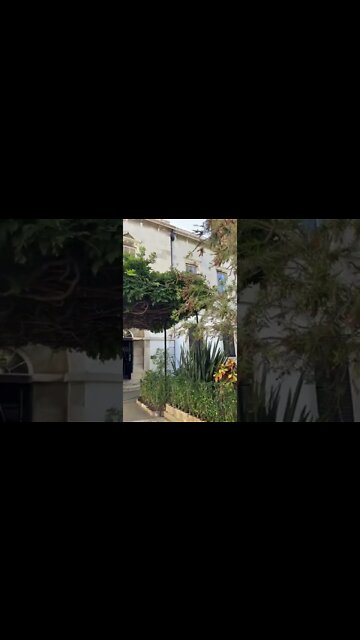 Gibraltar Garrison Library Gardens Front #shorts