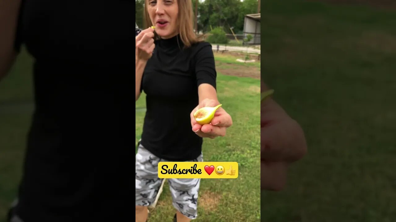 Tastes BETTER HOME GROWN! 🌱❤️😃👍 #shorts