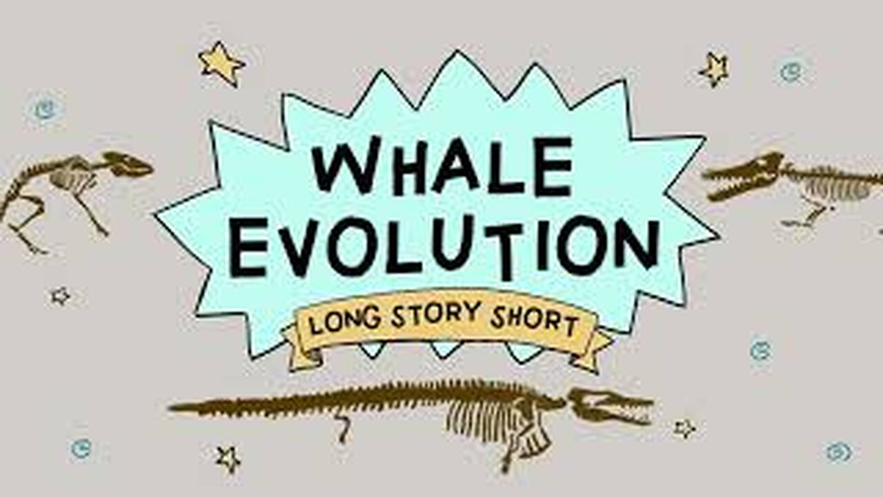 Whale Evolution: Good Evidence for Darwin? (Long Story Short, Ep. 2)