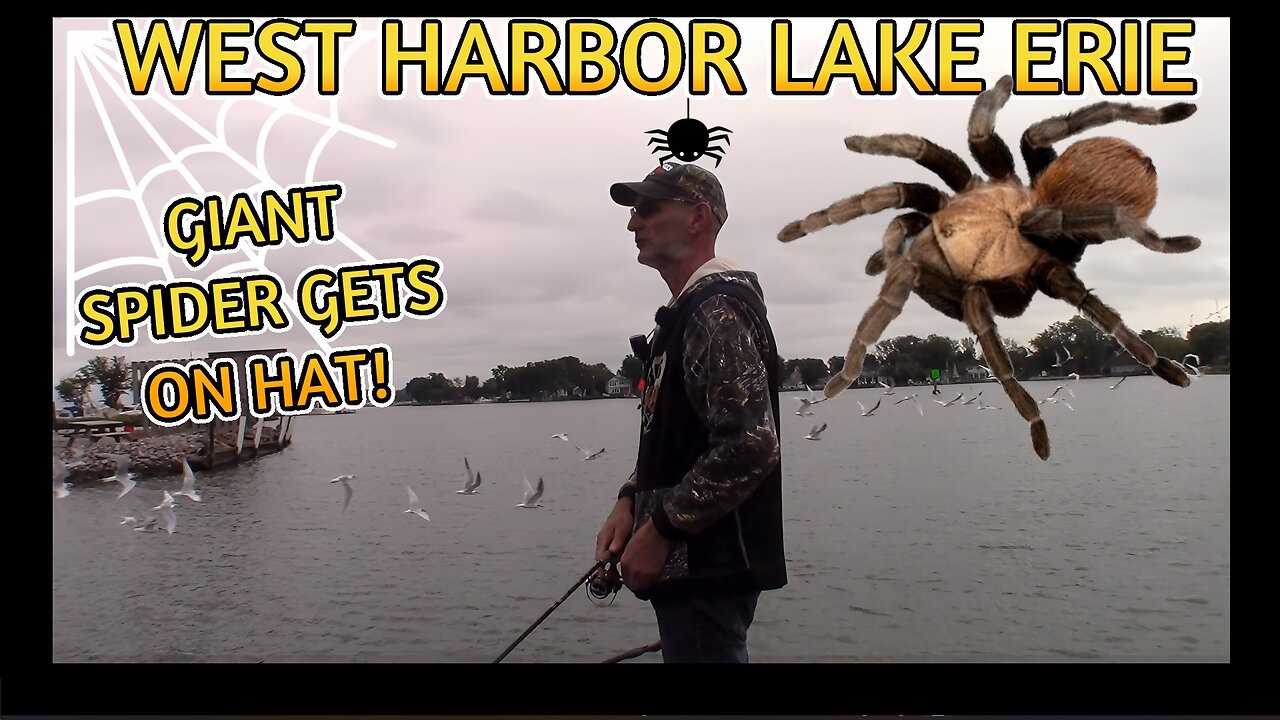 Massive Spider Visits While Bass Fishing West Harbor of Lake Erie