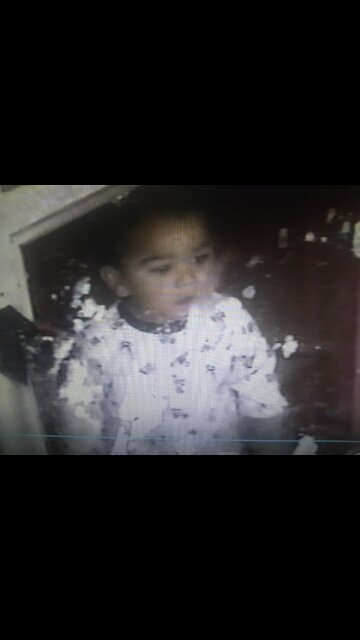 My Nephews and Ferrets