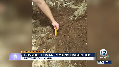 Possible Indian remains found on Hutchinson Island following Hurricane Dorian