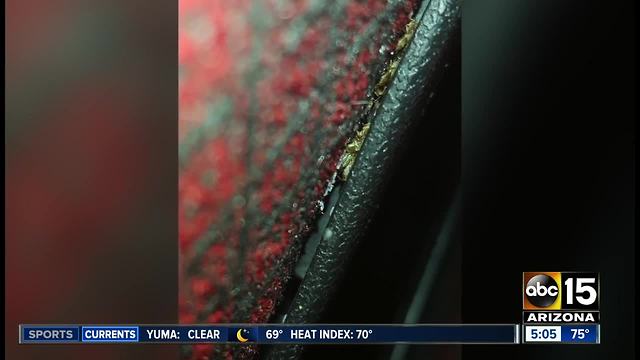 Woman says she was bitten by bed bugs at a Valley movie theater