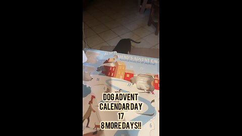 Dog Advent Calendar Day 17