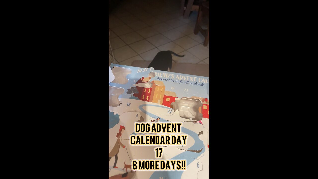 Dog Advent Calendar Day 17