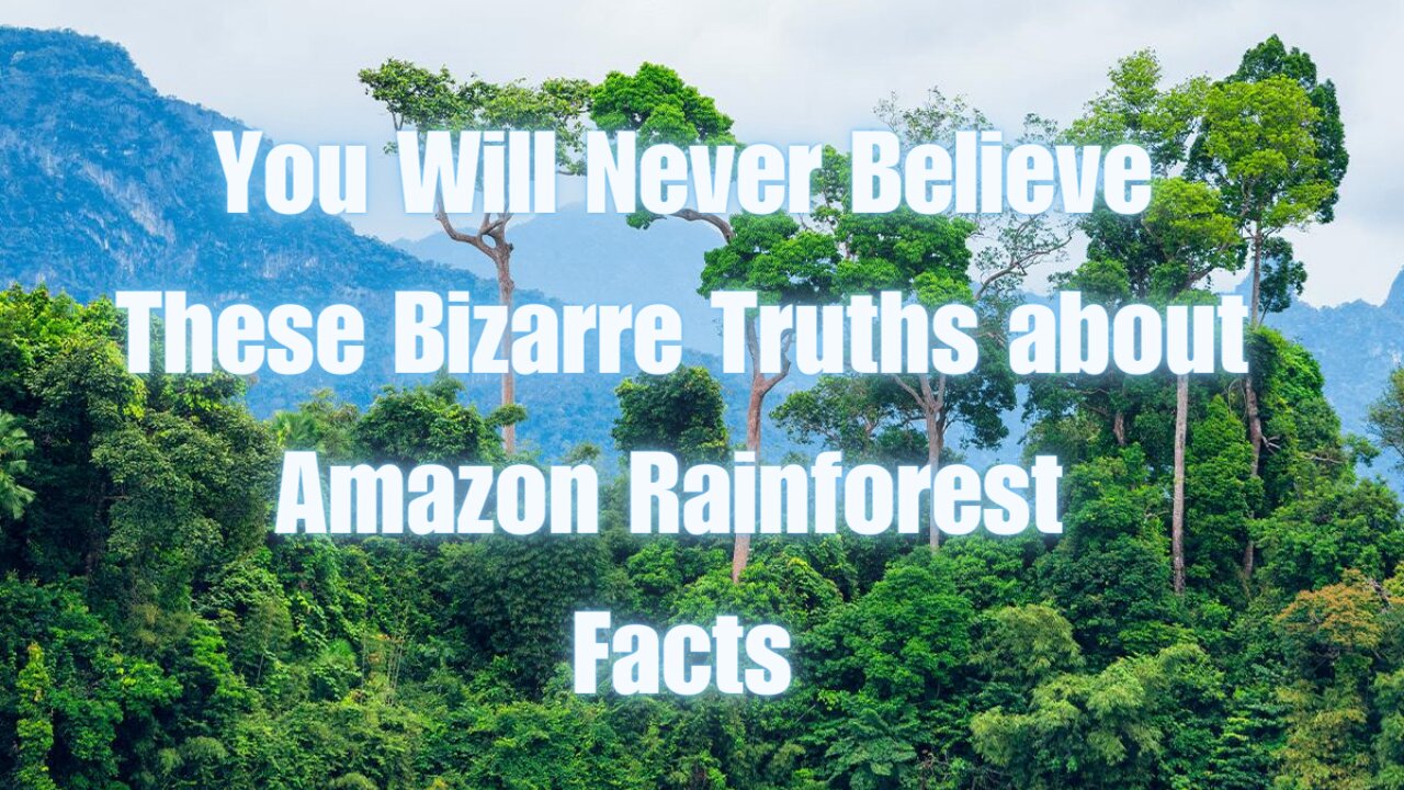 You Will Never Believe These Bizarre Truths about Amazon Rainforest Facts | Research Khor