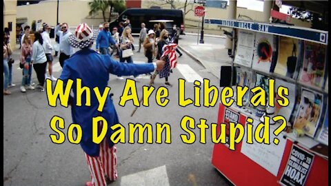 Why Are Liberals So Damn Stupid?