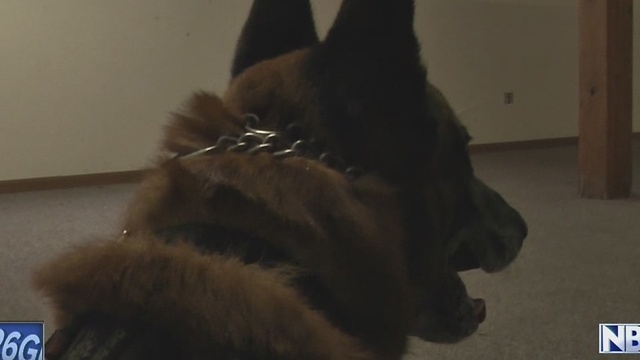 Training, community engagement sets Green Bay K9 Unit apart