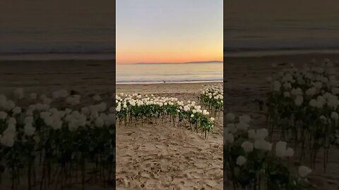 Sunset Vibe Tiktok kriskayy