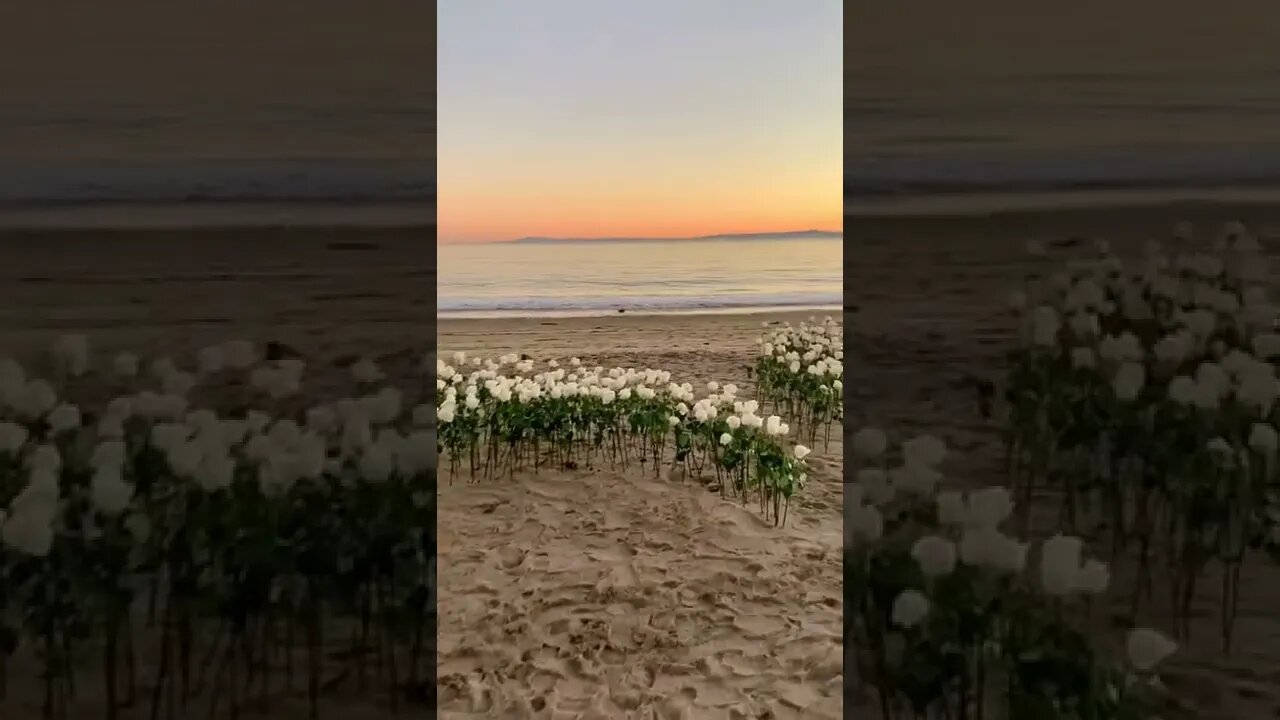 Sunset Vibe Tiktok kriskayy