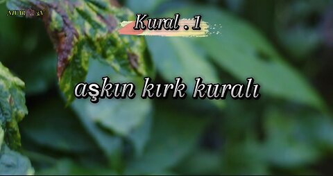 aşkın kırk kuralı - Kural . 1