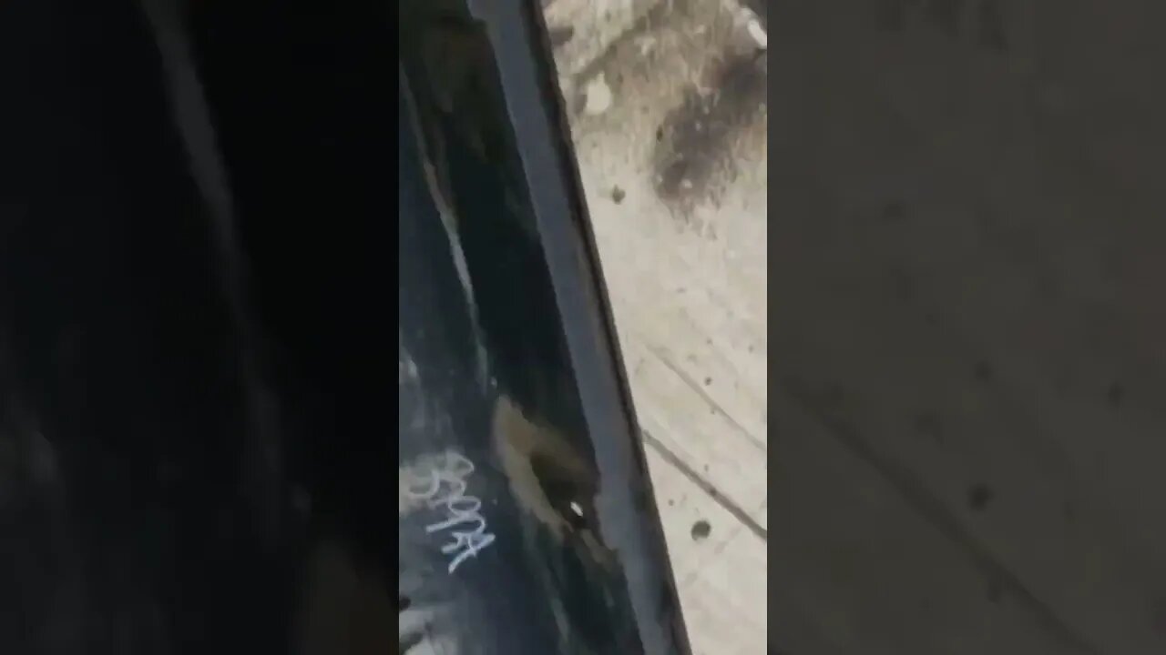 Rust trap for rocker panels #shorts #short #cars