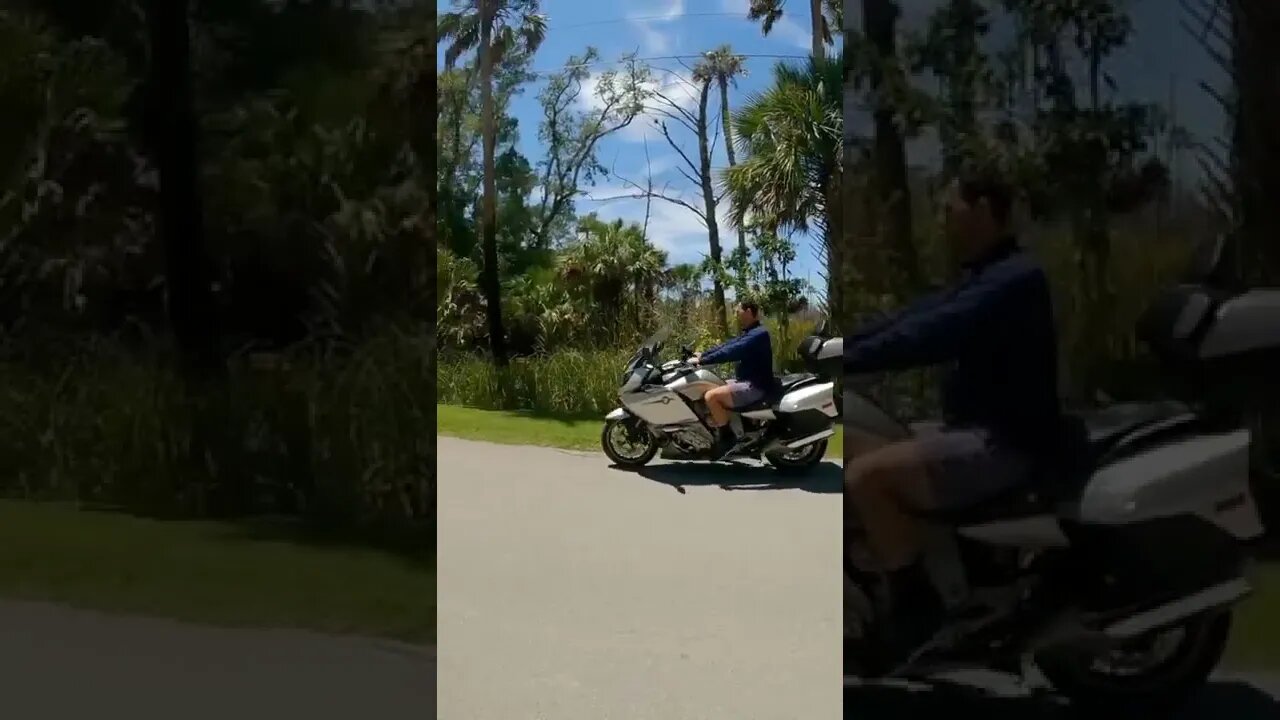 Enjoy the ride #k1600gtl #shorts #florida