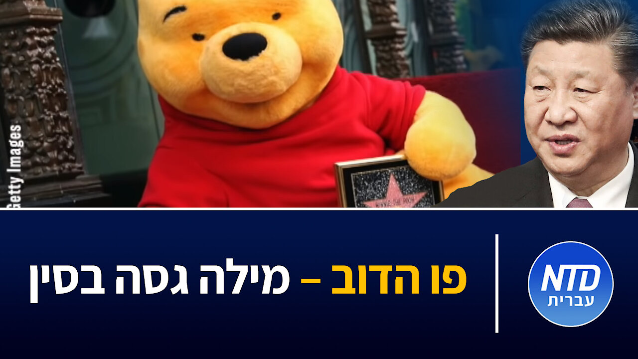 פו הדוב - מילה גסה בסין