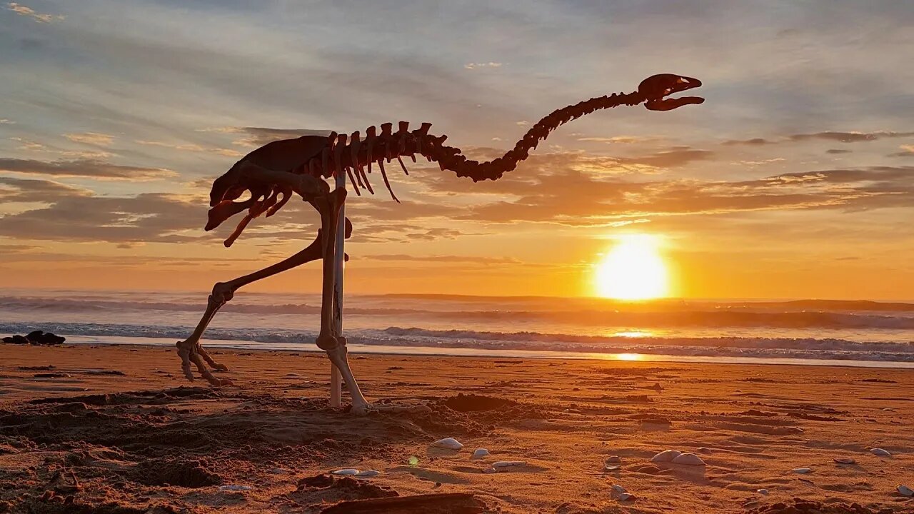 630 hours to 3D print a life-size, extinct mega bird from New Zealand [Little bush moa]