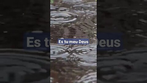 Es tu meu Deus.#deusnocomando#deuséfiel#bibliasagrada#jesuscristo#gospel