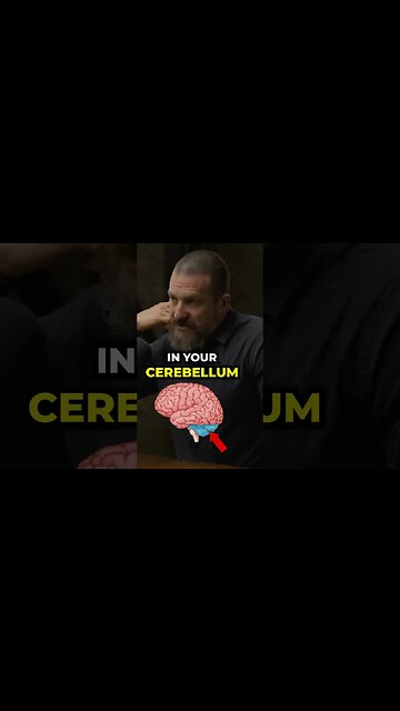 Andrew Huberman - Why Are Free Climbing Videos So Terrifying?