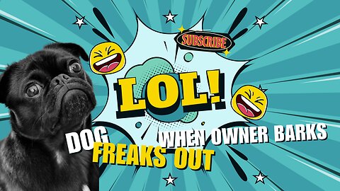 Watch Fido's Hilarious Reaction When His Owner Barks at Him