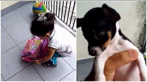 Child tries to carry puppy to school inside backpack