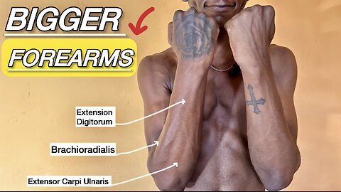 Build Bigger Forearms FAST | 7 Best Exercises for Stronger Forearms!