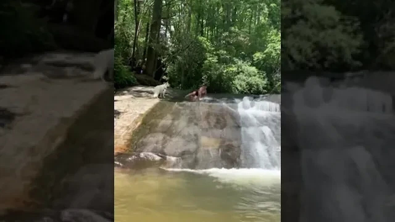 That didn’t go to plan😅