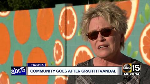 Phoenix community goes after graffiti artist online after mural is vandalized