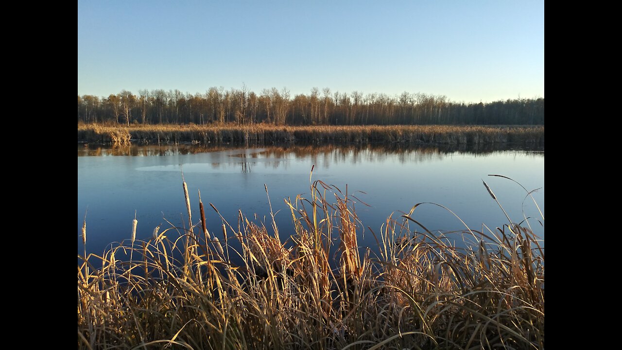 Central Alberta Wetlands