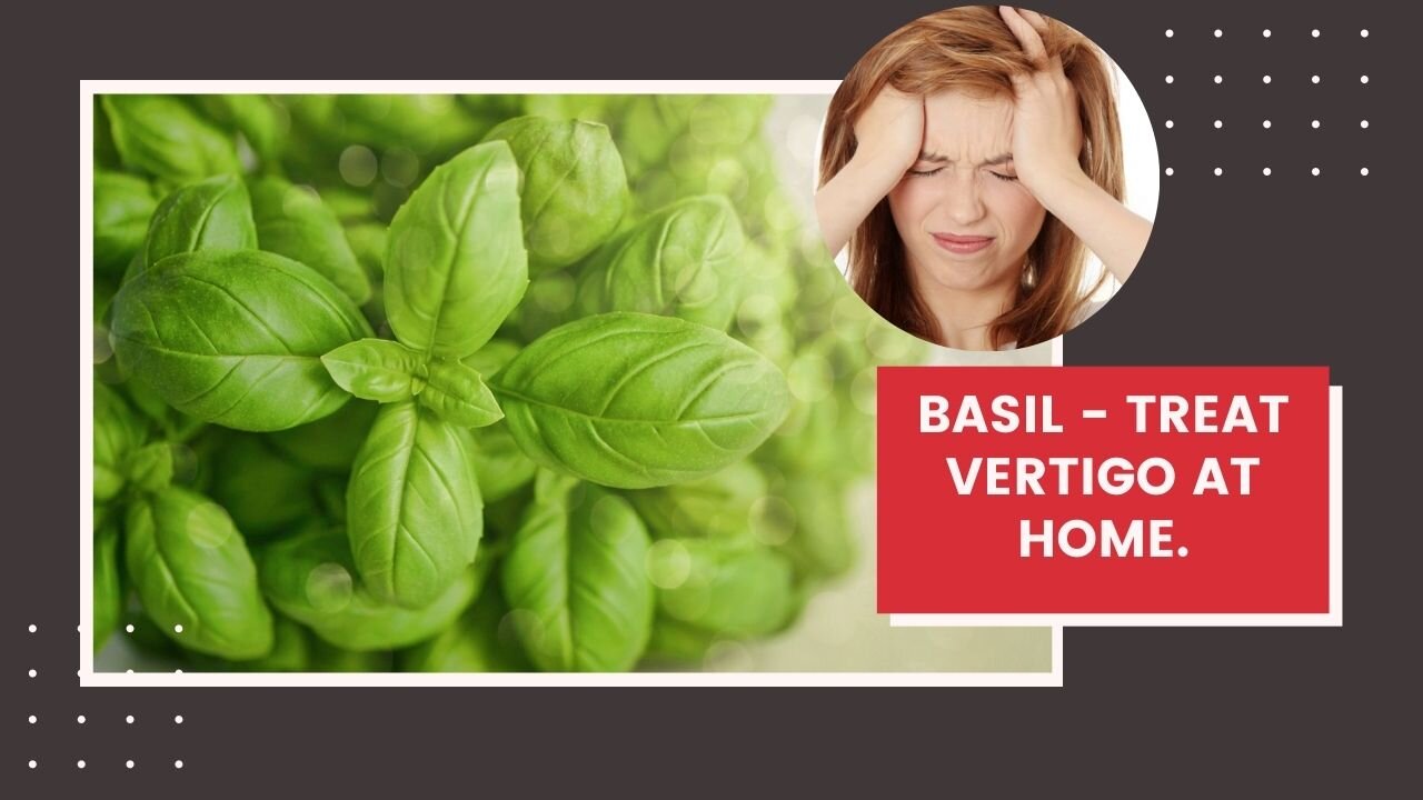 Basil - Treat Vertigo At Home