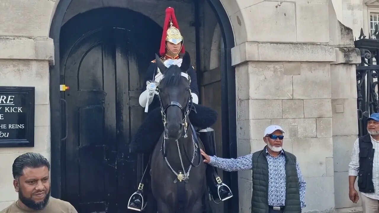 The tourist kept touching the reins DO NOT TOUCH THE REINS #horseguardsparade