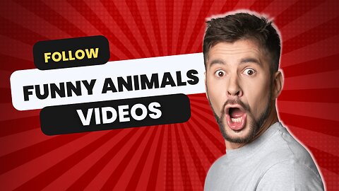 Must Funny Animal Videos