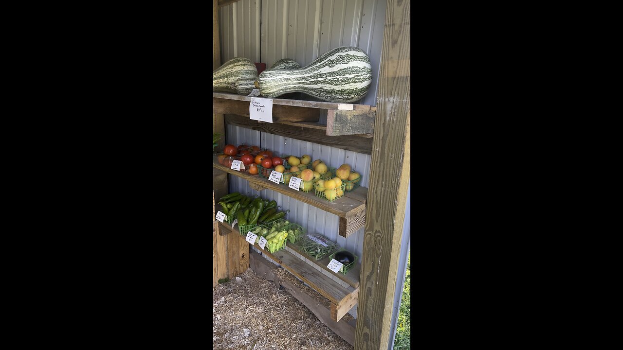 Market Stand 🧑‍🌾 Chamberlin Family Farms #marketstand #freshproduce #farming #homesteading