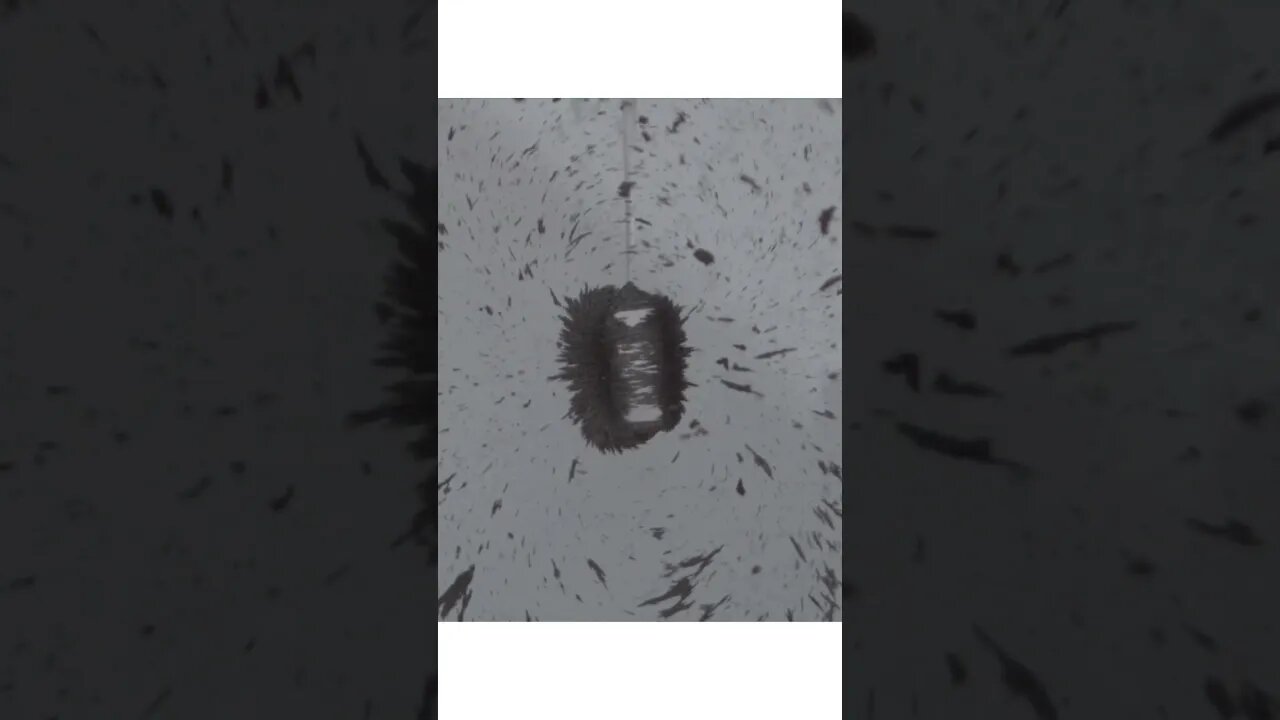 VISUALIZING MAGNETIC FIELDS IN SLOW MOTION