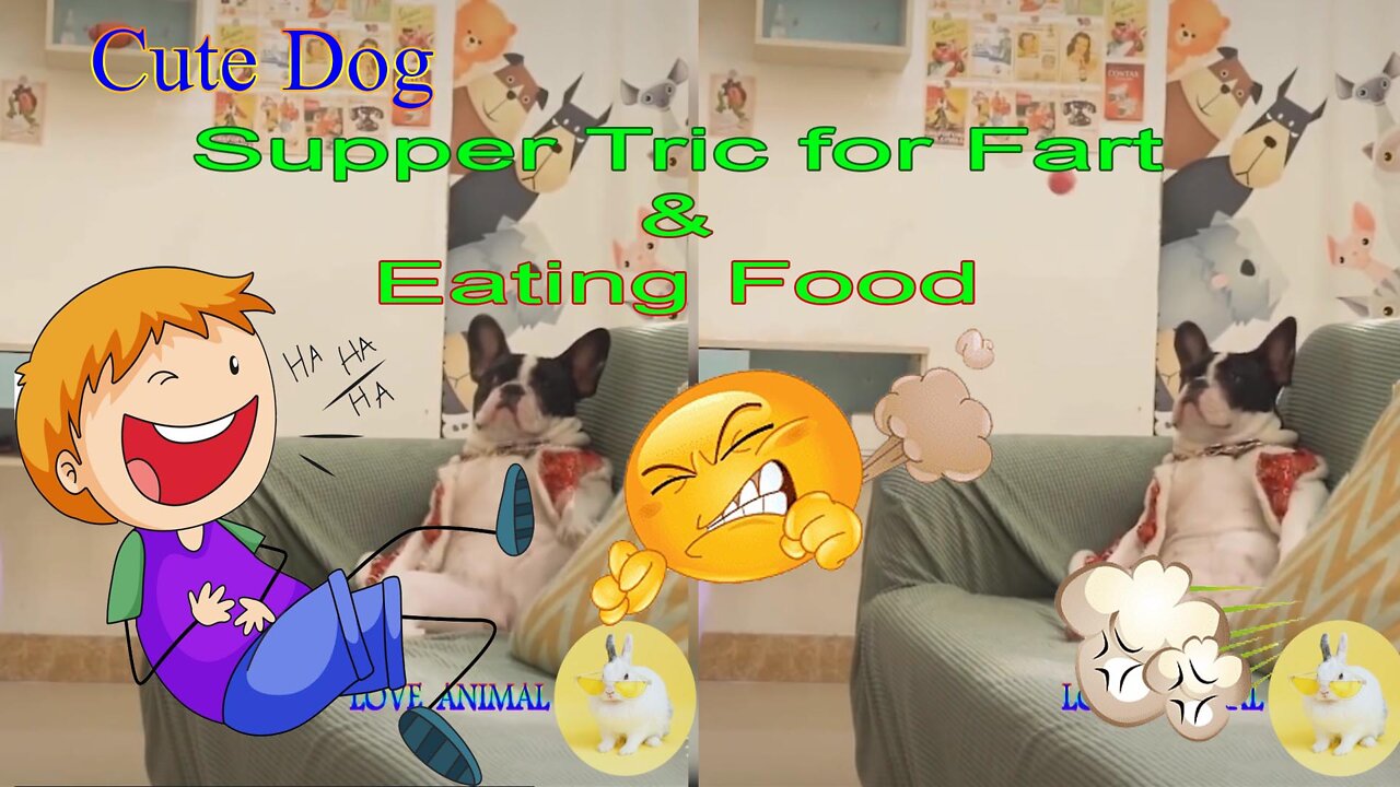 Cute Dog Super brain game,Super Tric eating food on big Fart