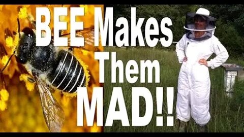 BEE makes them MAD!!