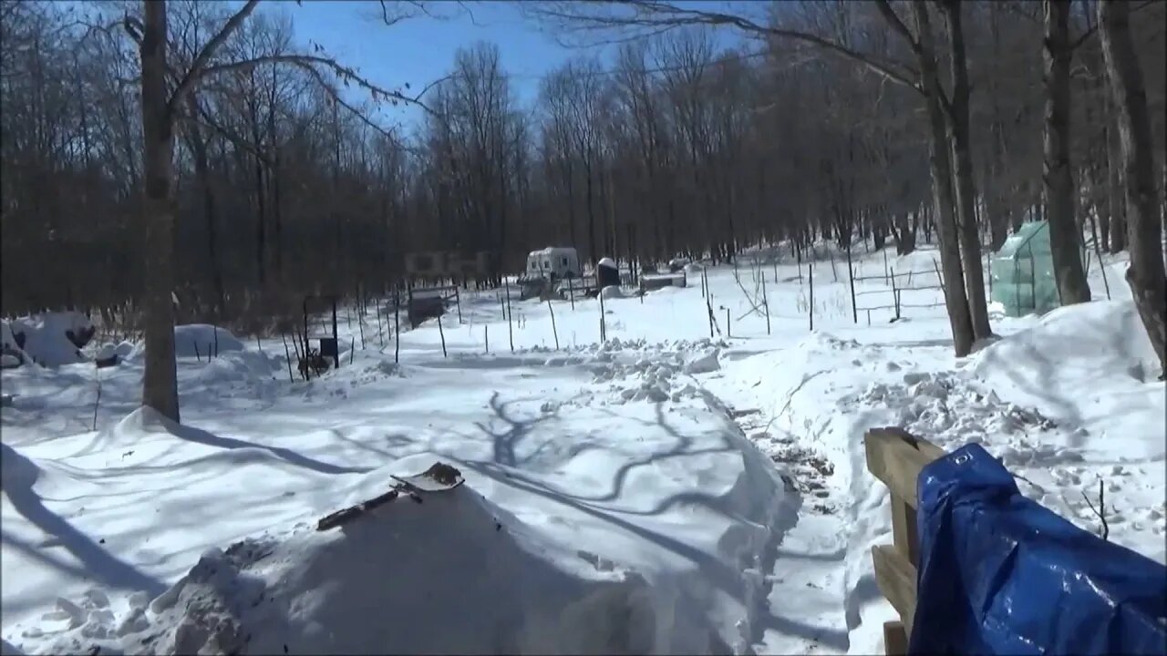 Awesome Solar Power Production At The Off Grid Homestead