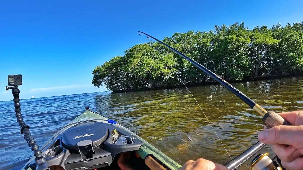 Is this what KAYAK fishing should be Old Town Loon 126 Sit Inside Kayak Fishing