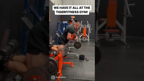 GREATEST FREE GYM IN THE WORLD!