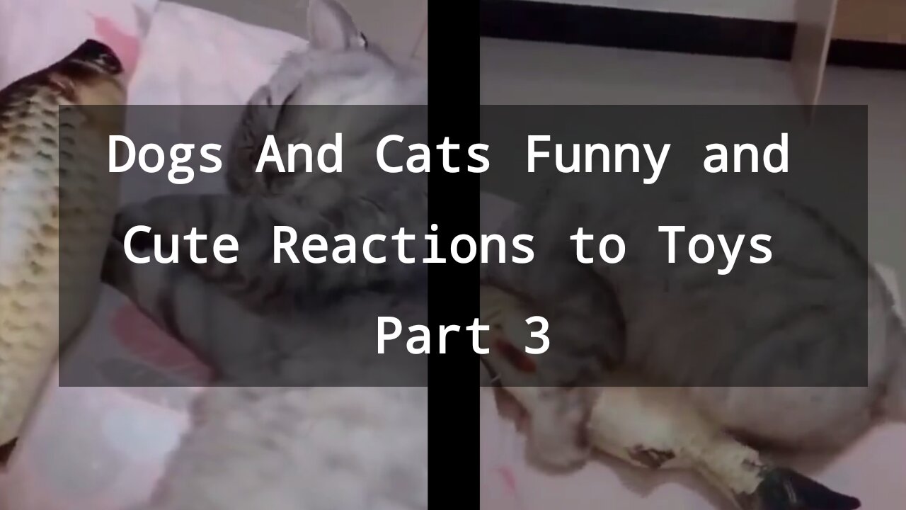 Dogs And Cats Funny and Cute Reaction to Toys Part 3