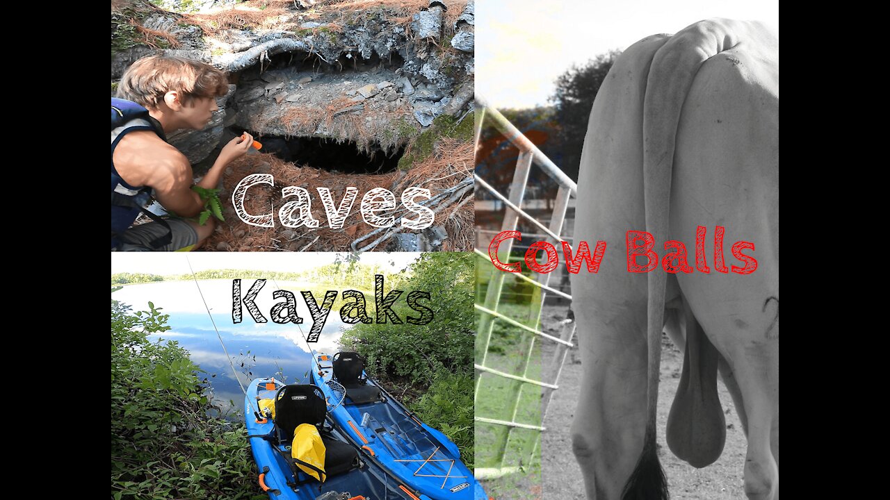 Caves, Kayaks and Cow Balls