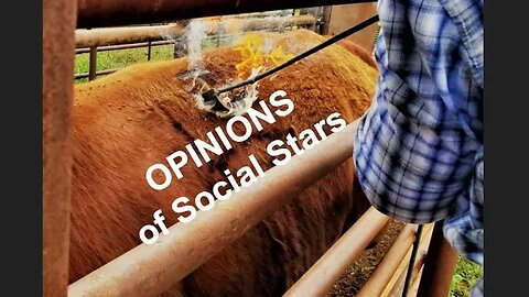 OPINIONS of Ag Social Media Influencers | What's Right & What's Wrong? (In the Chute - Round 143)