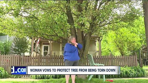 Out on a limb: Woman’s defiance buys beloved tree more time