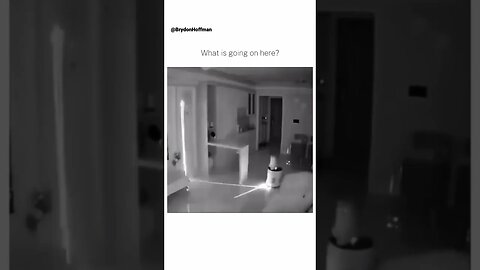 Funny Cat Meme 😂 pt.32 #shorts